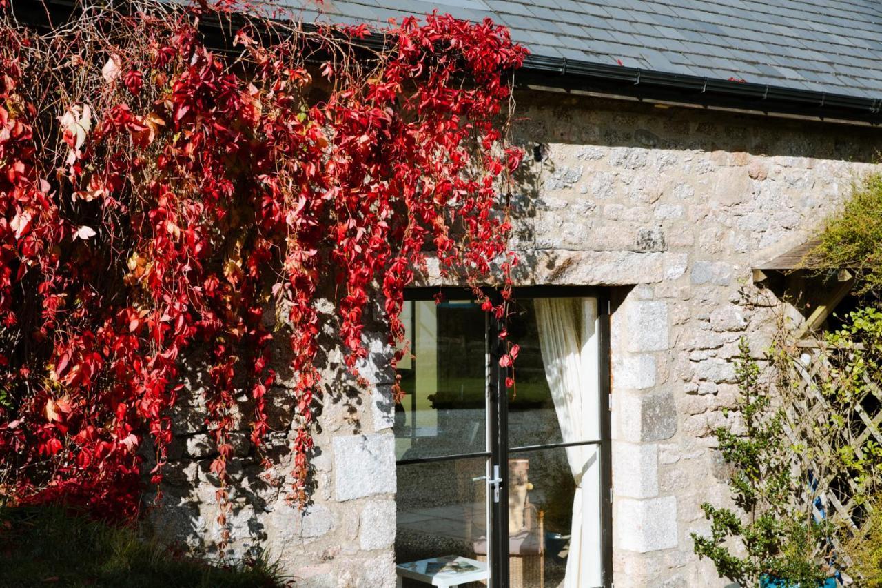 Higher Weddicott Barn Holiday Cottage - Self Catering チャグフォード エクステリア 写真